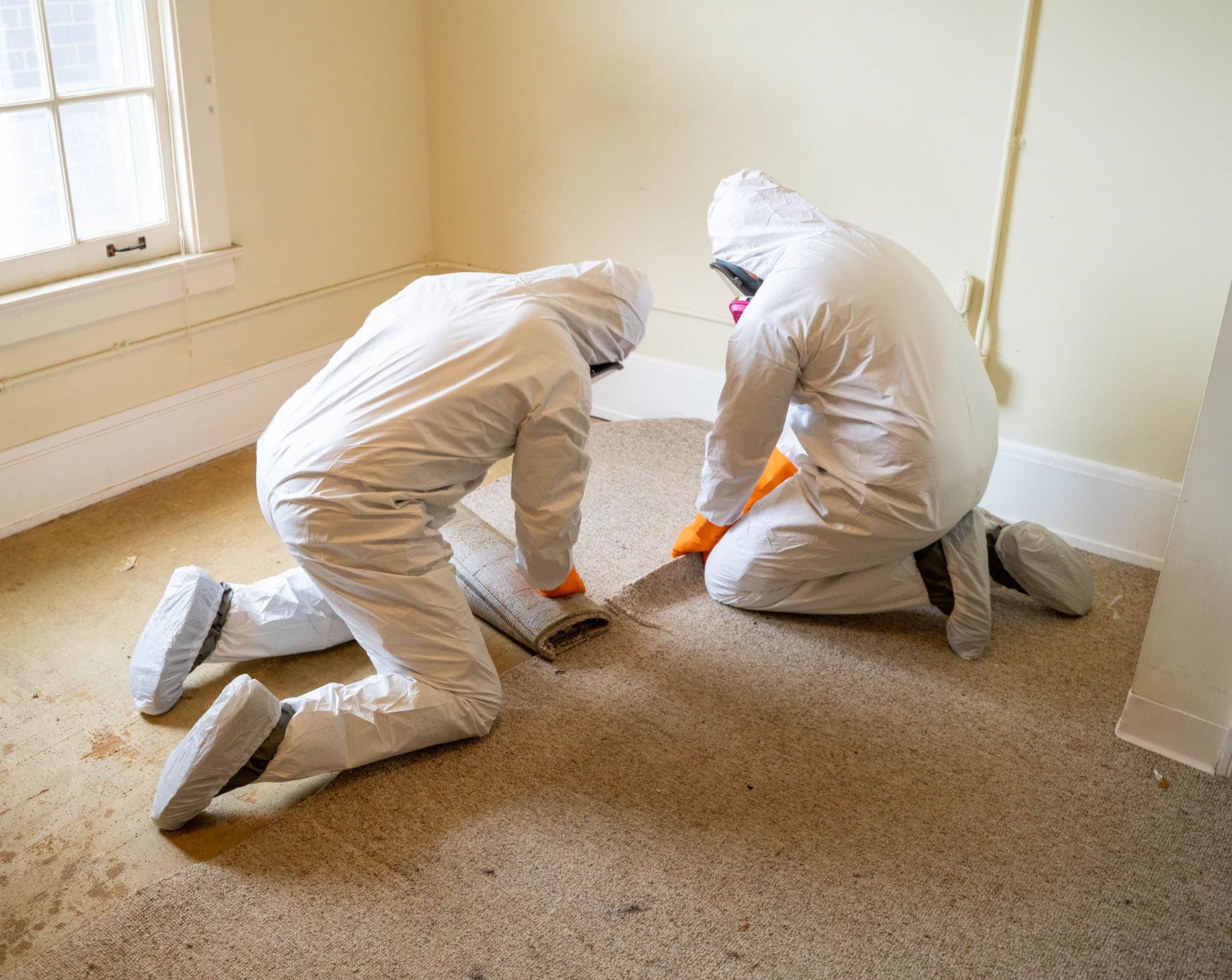 Certified remediation crew installing negative-pressure containment in a Halifax basement