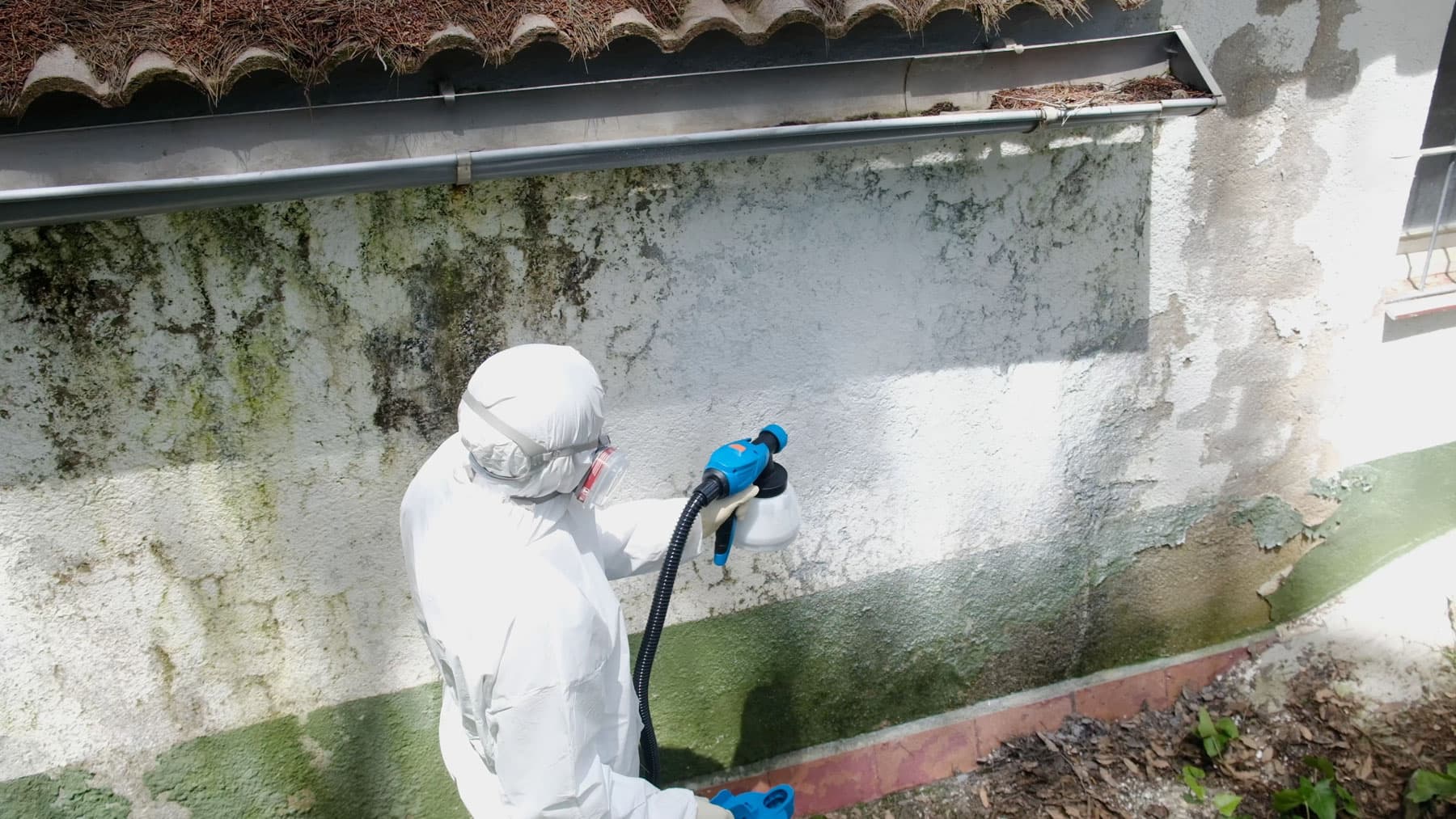 Active mold remediation work in Halifax - same-day dispatch across Halifax and HRM