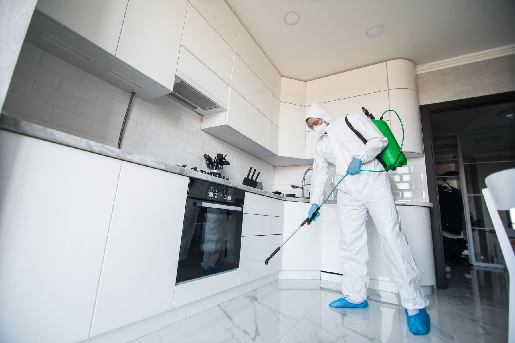 Halifax Mold Removal team completing a post-remediation clearance inspection at a client property